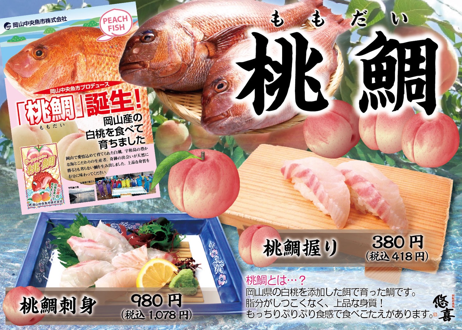 桃鯛